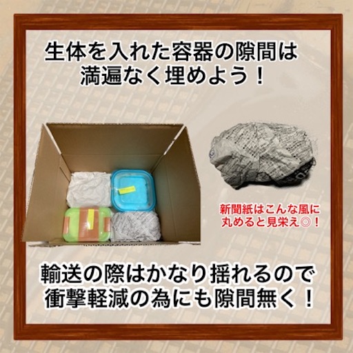 f:id:Kumi-everydayhard:20251130031421j:image