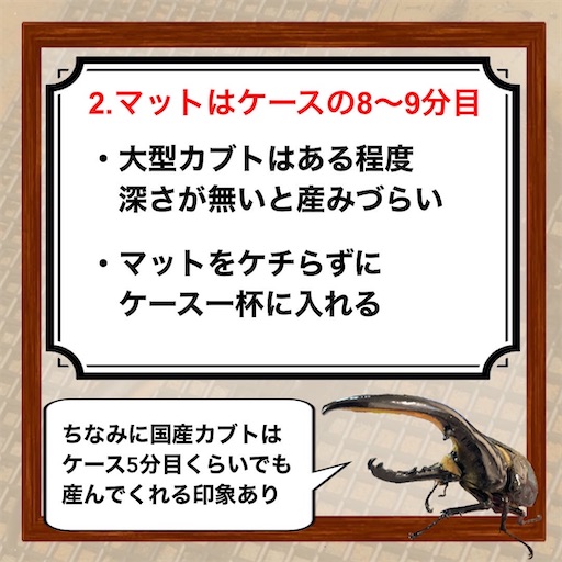 f:id:Kumi-everydayhard:20251201005102j:image