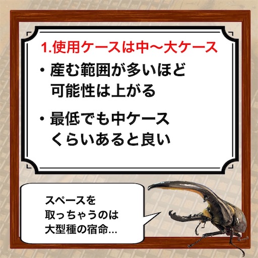 f:id:Kumi-everydayhard:20251201005105j:image