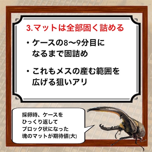 f:id:Kumi-everydayhard:20251201005108j:image