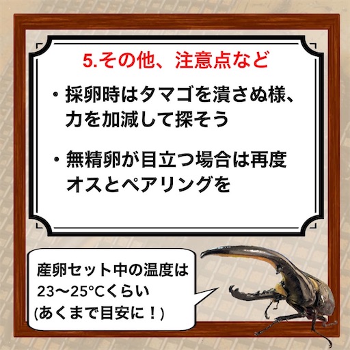 f:id:Kumi-everydayhard:20251201005111j:image