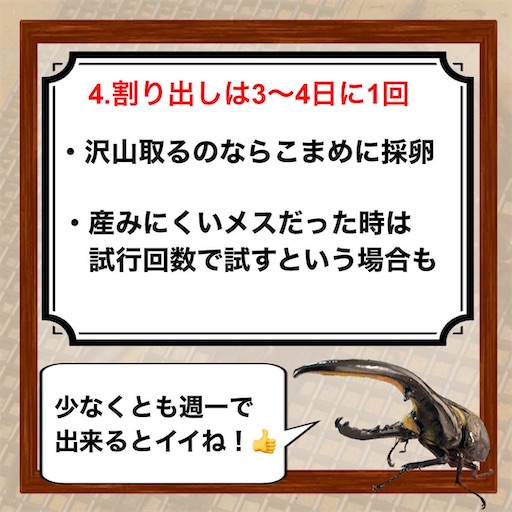 f:id:Kumi-everydayhard:20251201005115j:image