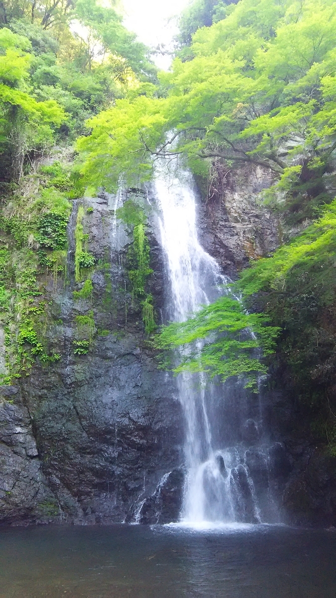 f:id:Kunimasa:20190624154226j:plain