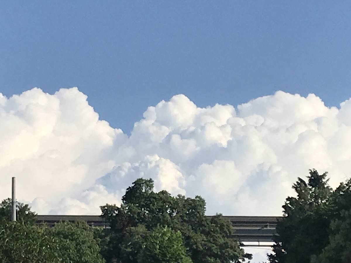 f:id:Kunimasa:20190726150414j:plain