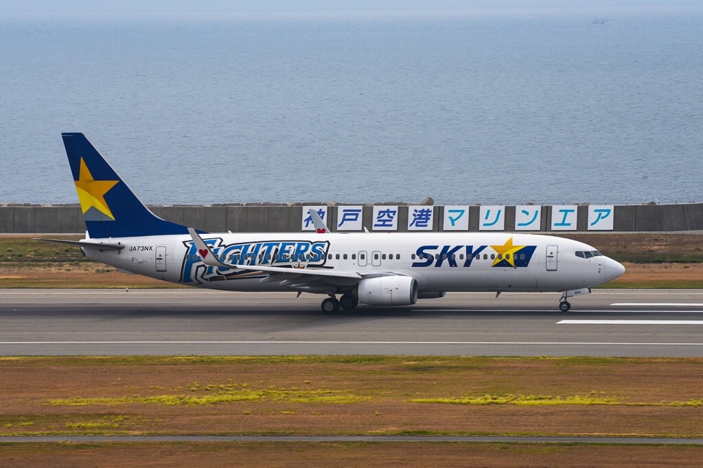 スカイマーク 特別塗装機 3機 がやってきた神戸空港