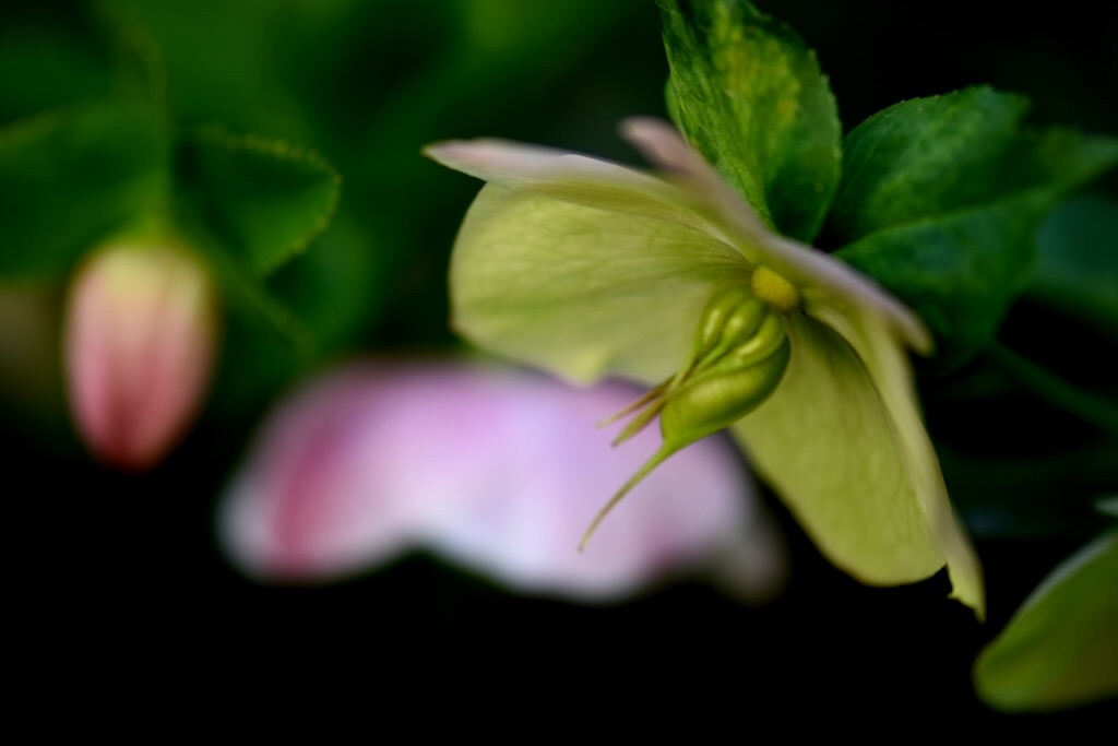 f:id:Kuniofukudaicloudcom:20190331185415j:image f:id:Kuniofukudaicloudcom:20190331185415j:image