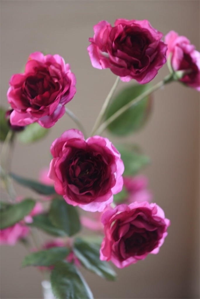 f:id:Kuniofukudaicloudcom:20190331190036j:image f:id:Kuniofukudaicloudcom:20190331190036j:image
