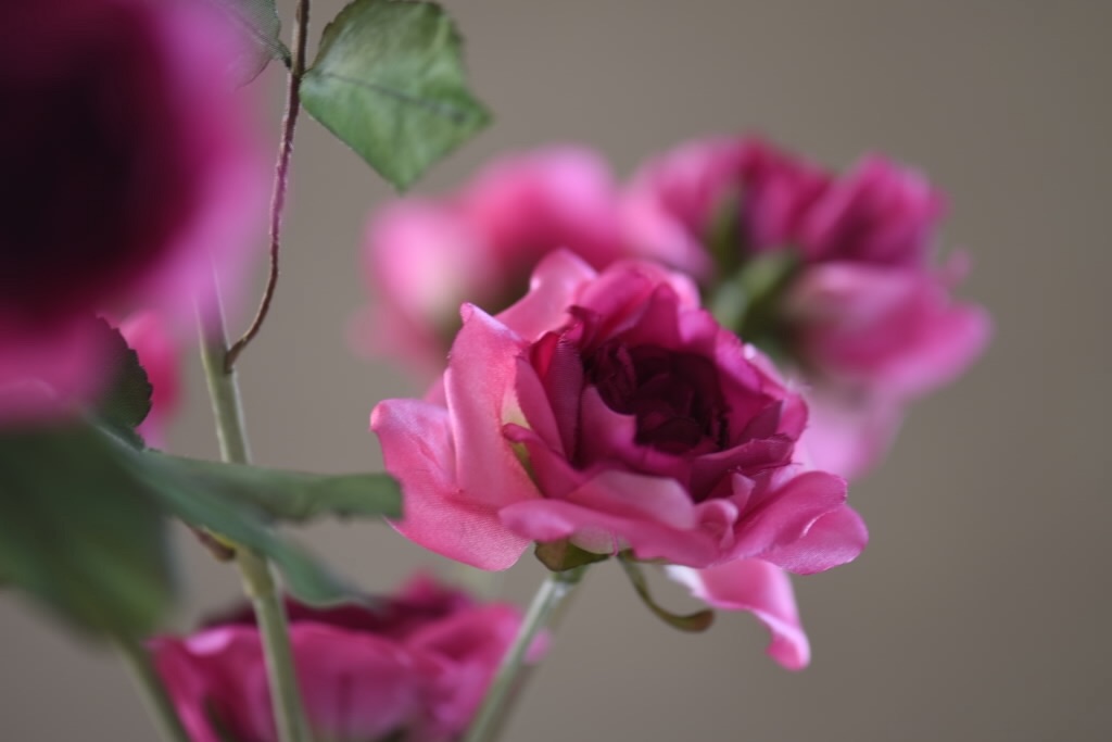 f:id:Kuniofukudaicloudcom:20190331190053j:image f:id:Kuniofukudaicloudcom:20190331190053j:image