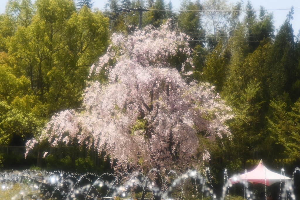 f:id:Kuniofukudaicloudcom:20190422185429j:image f:id:Kuniofukudaicloudcom:20190422185429j:image