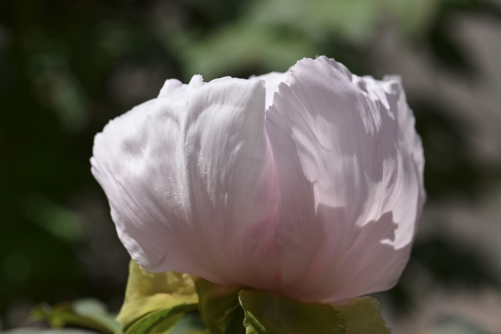 f:id:Kuniofukudaicloudcom:20190422185558j:image f:id:Kuniofukudaicloudcom:20190422185558j:image