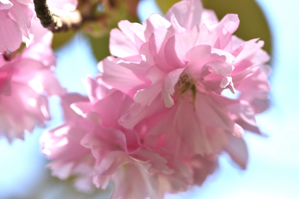 f:id:Kuniofukudaicloudcom:20190422185702j:image f:id:Kuniofukudaicloudcom:20190422185702j:image