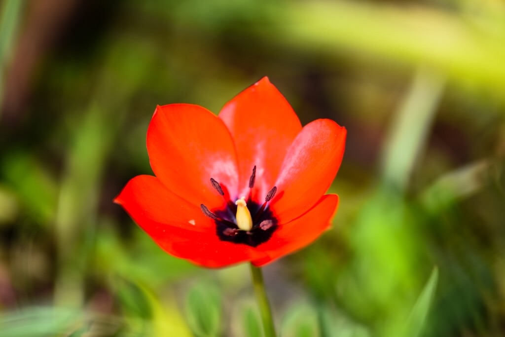 f:id:Kuniofukudaicloudcom:20190422185840j:image f:id:Kuniofukudaicloudcom:20190422185840j:image