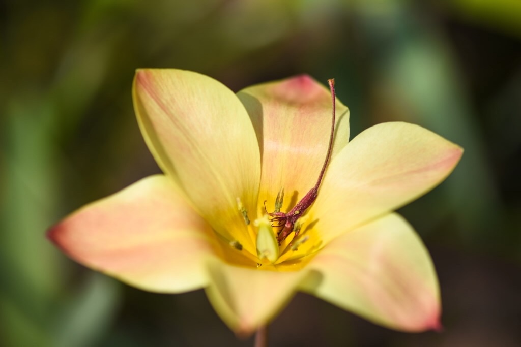f:id:Kuniofukudaicloudcom:20190422185854j:image f:id:Kuniofukudaicloudcom:20190422185854j:image