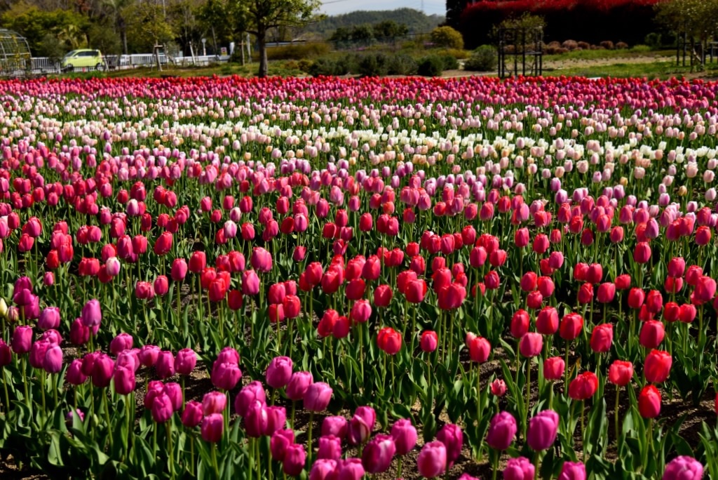 f:id:Kuniofukudaicloudcom:20200413183659j:image f:id:Kuniofukudaicloudcom:20200413183659j:image
