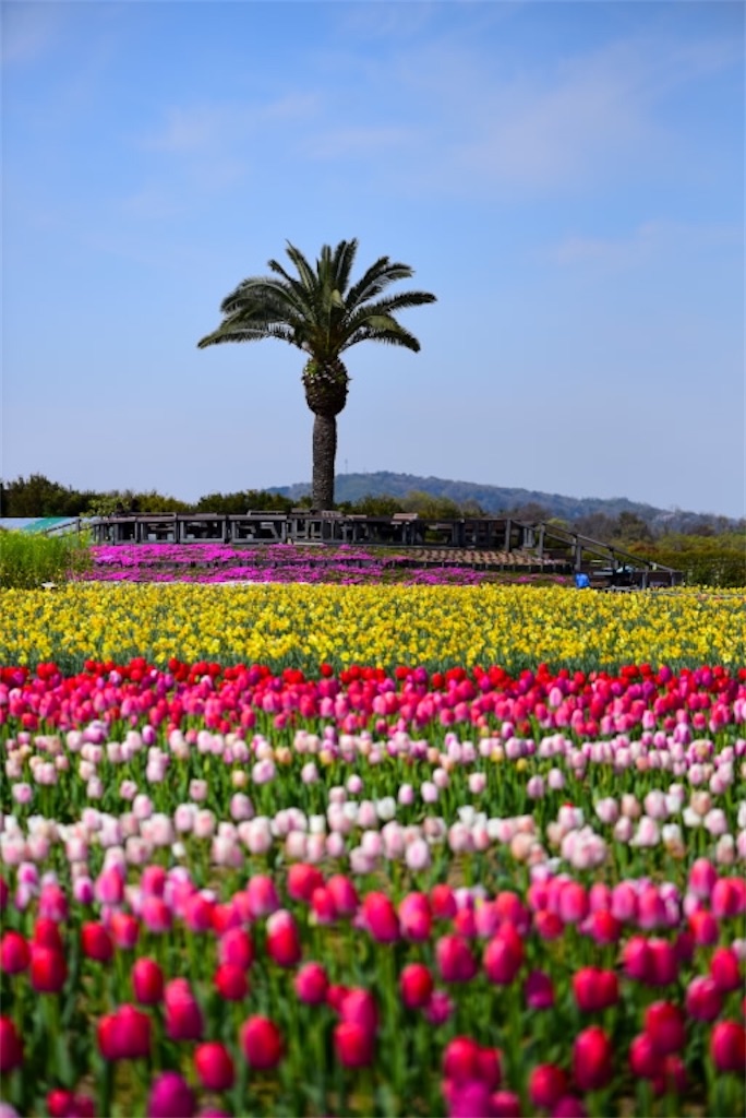 f:id:Kuniofukudaicloudcom:20200413183708j:image f:id:Kuniofukudaicloudcom:20200413183708j:image