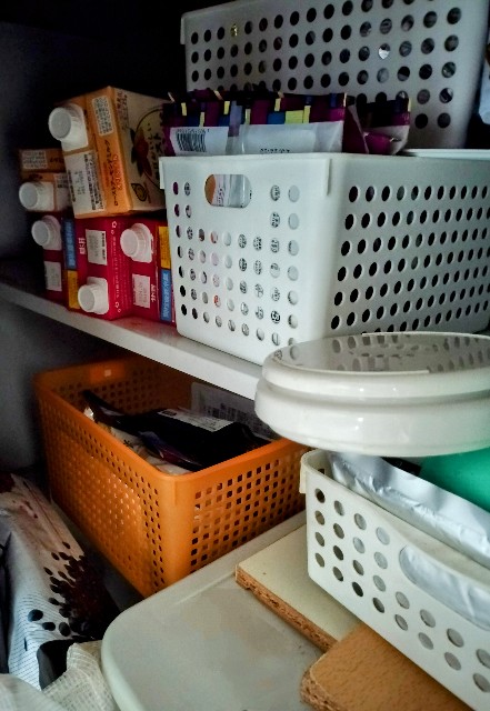 f:id:Kurashinotanemaki:20230923165604j:image