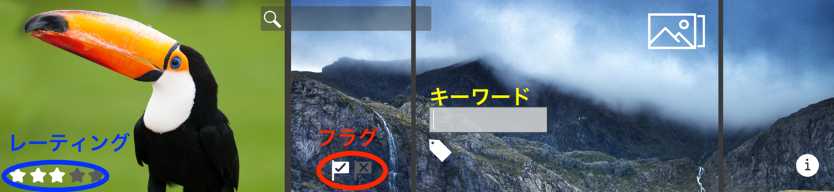 レーティング、フラグ(adobe のサイトより)