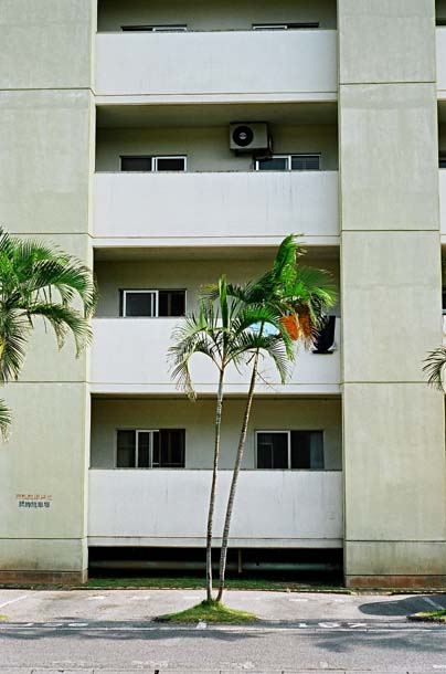 小禄