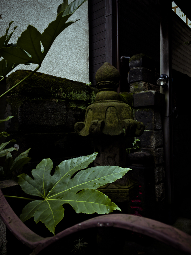 f:id:KuritaKeiichi:20160922014351j:image
