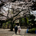 [靖国神社]