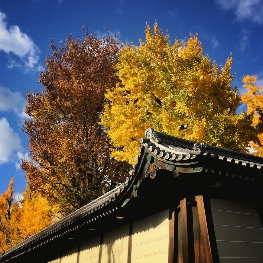 f:id:KuritaKeiichi:20191202110404j:image