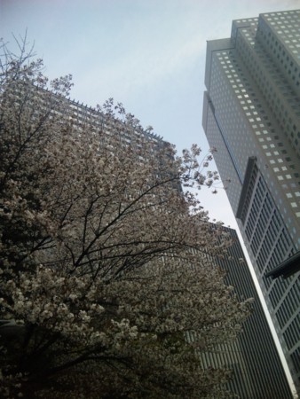 f:id:KuroNeko666:20110411154436j:image