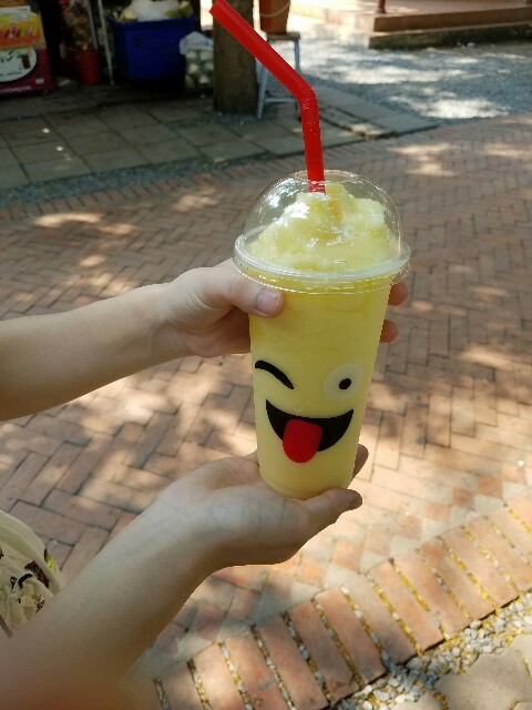 f:id:Kurumin0211:20190607210048j:image