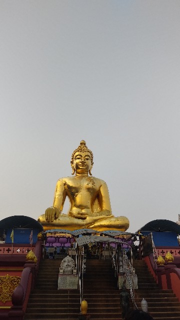 f:id:Kurumin0211:20200319172548j:image f:id:Kurumin0211:20200319172548j:image