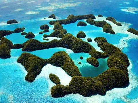 f:id:Kurumin0211:20200424155145j:image f:id:Kurumin0211:20200424155145j:image