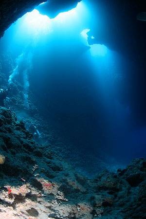 f:id:Kurumin0211:20200424155252j:image f:id:Kurumin0211:20200424155252j:image