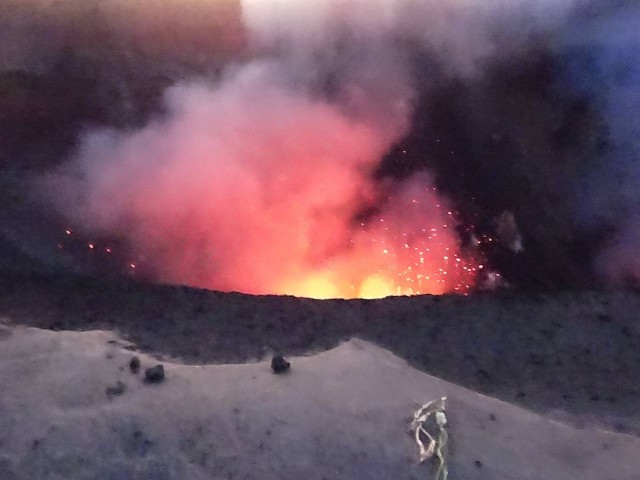 f:id:Kurumin0211:20200424155359j:image f:id:Kurumin0211:20200424155359j:image