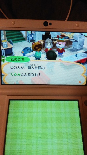 いまさらだけど3ds ハッピーホームデザイナー をやってみた くるみんのお部屋 いまさらだけど3ds ハッピーホームデザイナー をやってみた くるみんのお部屋