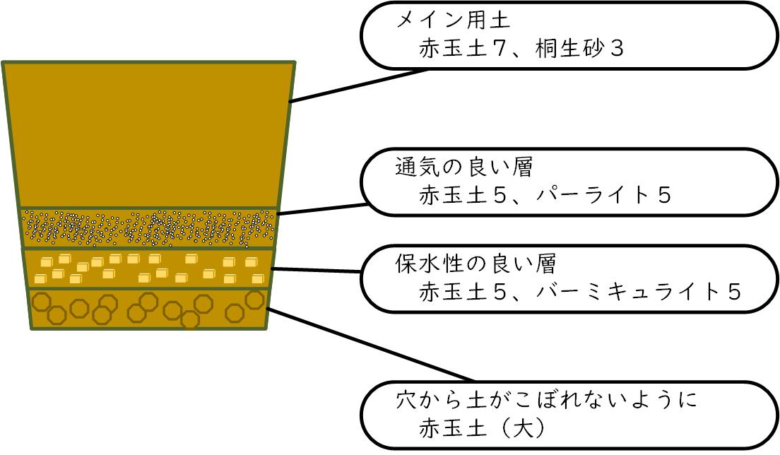 f:id:Kutibashi:20200323224345j:plain