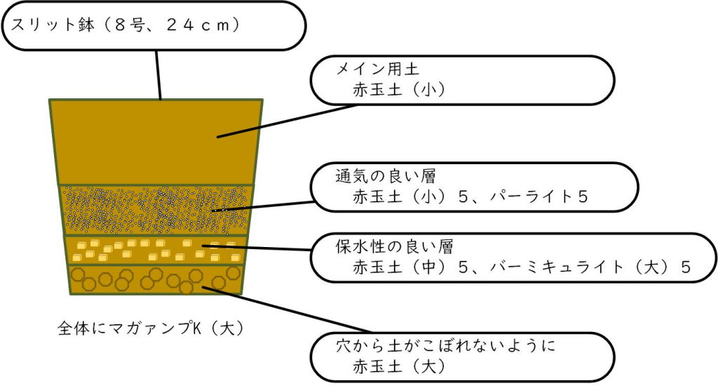 f:id:Kutibashi:20200329182420j:plain