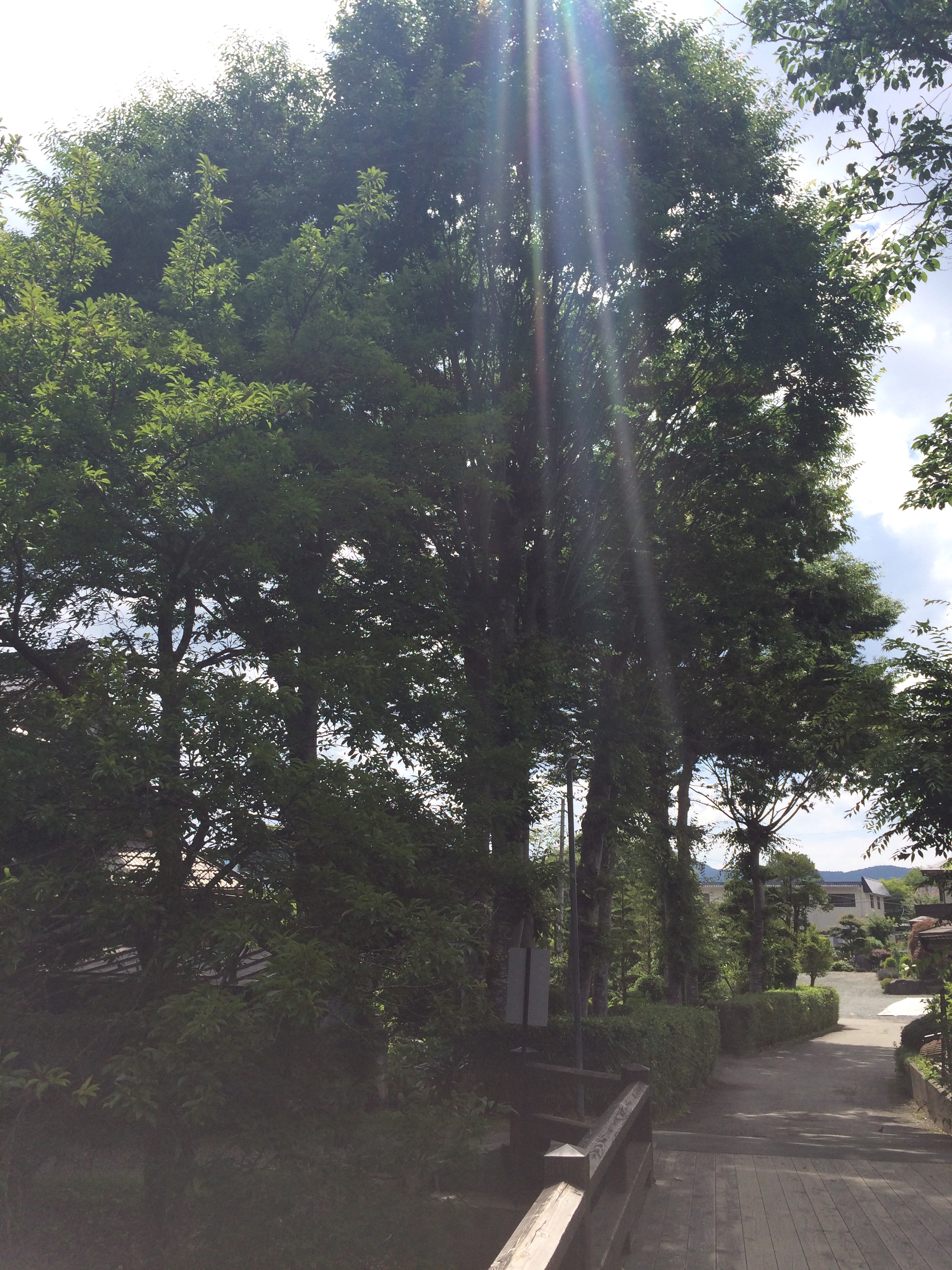 f:id:KuuTamo:20180715131946j:image f:id:KuuTamo:20180715131946j:image