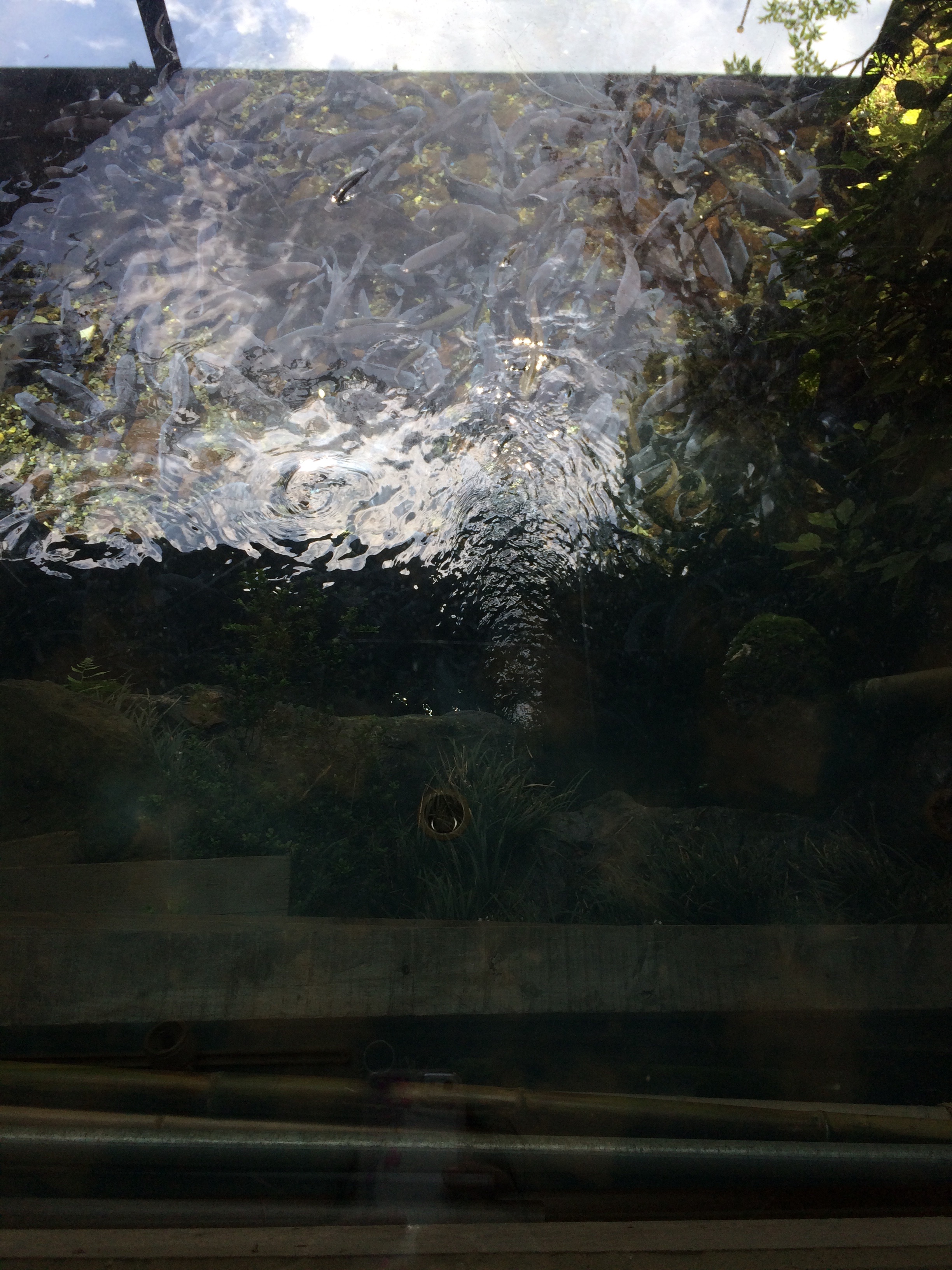 f:id:KuuTamo:20180716224444j:image f:id:KuuTamo:20180716224444j:image