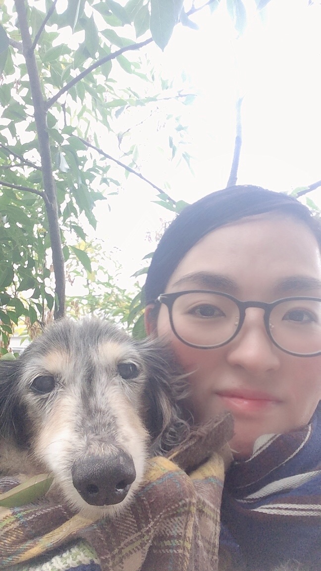 f:id:KuuTamo:20190331083325j:image