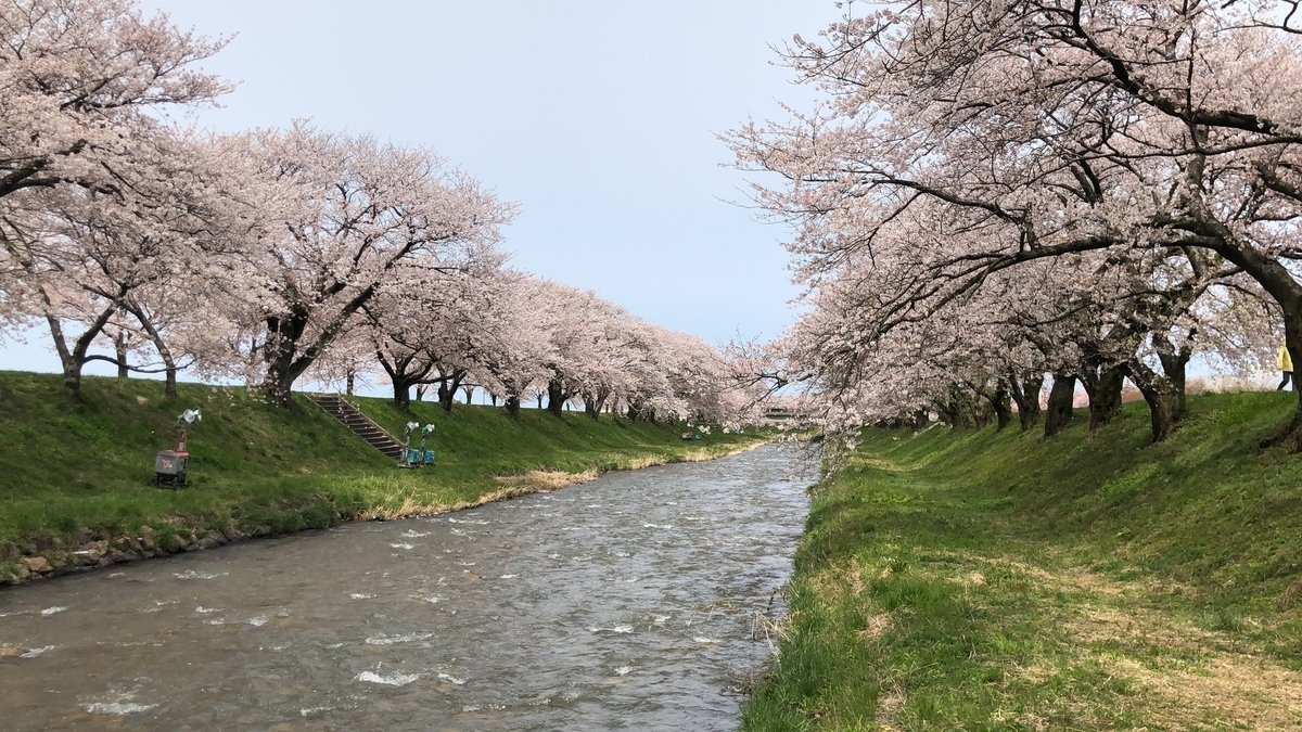 f:id:Kuunyan_takashi:20200416160516j:plain