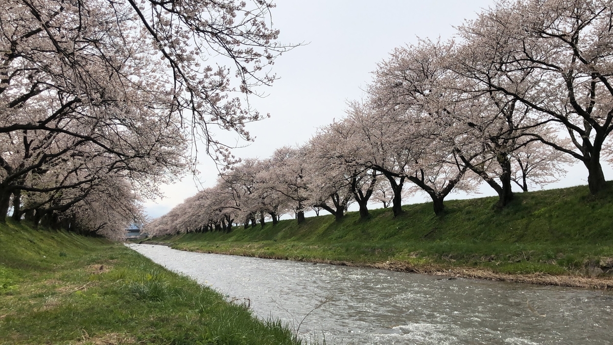 f:id:Kuunyan_takashi:20200416160533j:plain