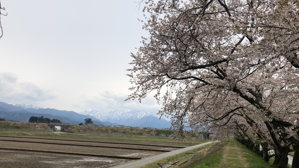 f:id:Kuunyan_takashi:20200416160553j:plain