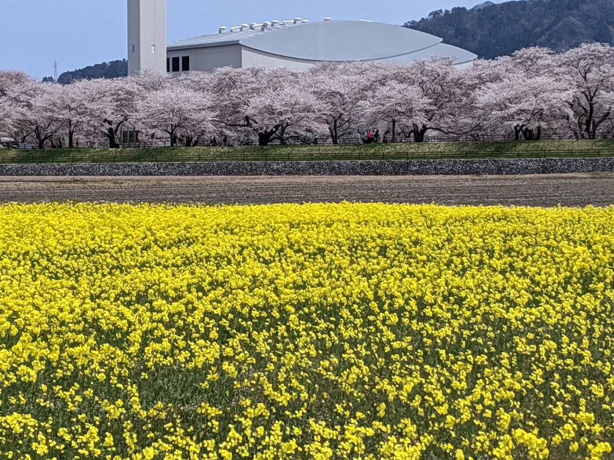 f:id:Kuunyan_takashi:20200416160628j:plain