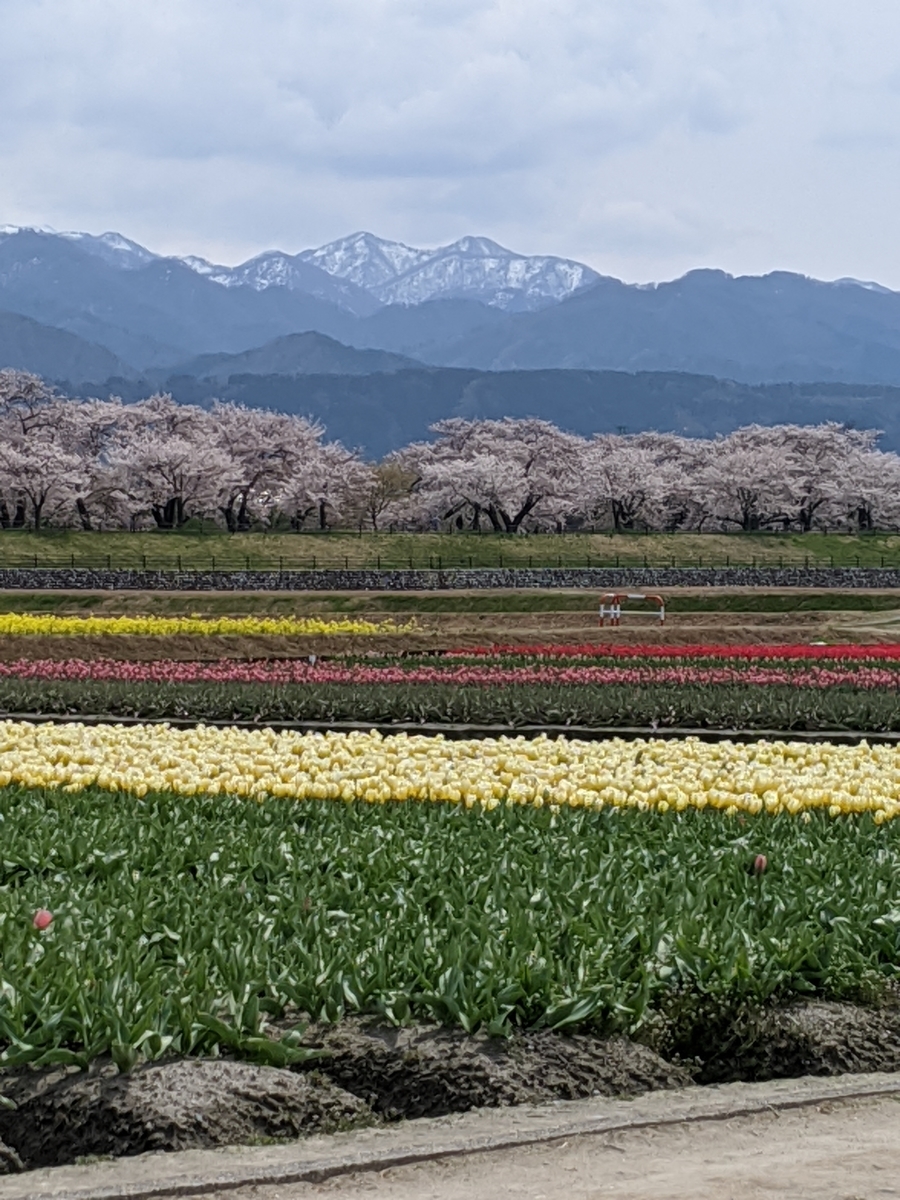 f:id:Kuunyan_takashi:20200416160636j:plain