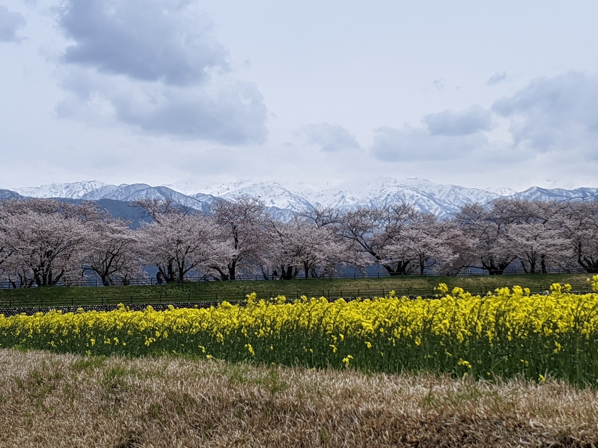 f:id:Kuunyan_takashi:20200416160702j:plain