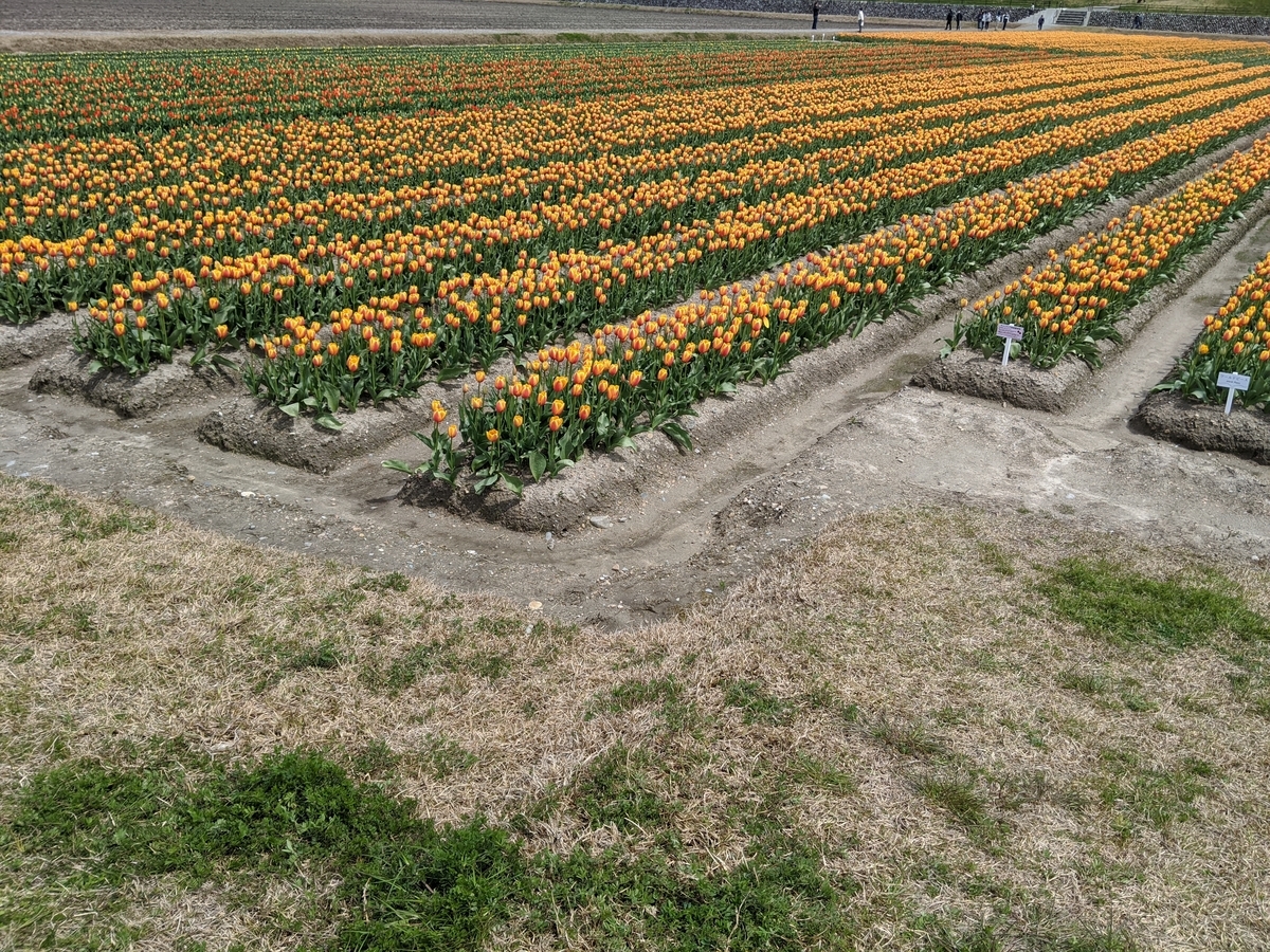 f:id:Kuunyan_takashi:20200416160750j:plain