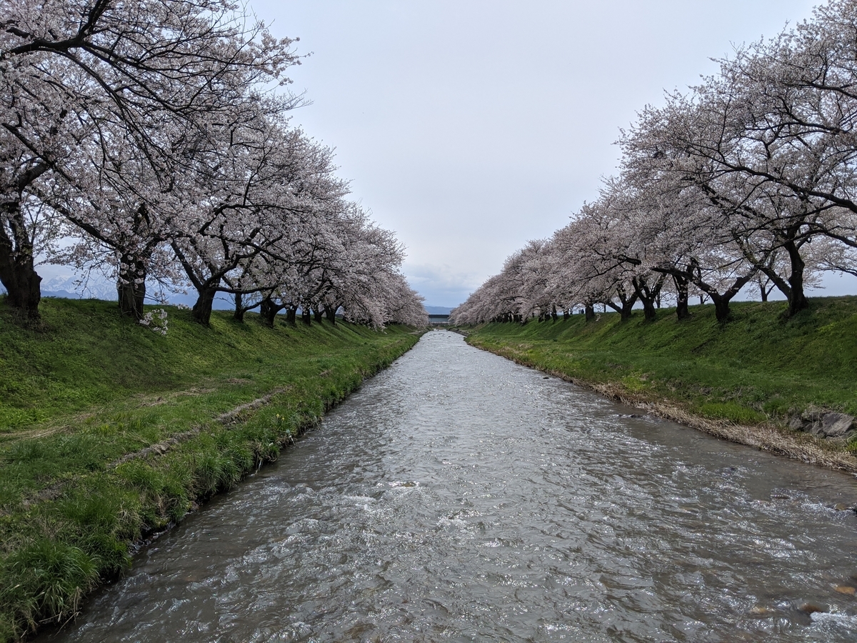 f:id:Kuunyan_takashi:20200416160807j:plain