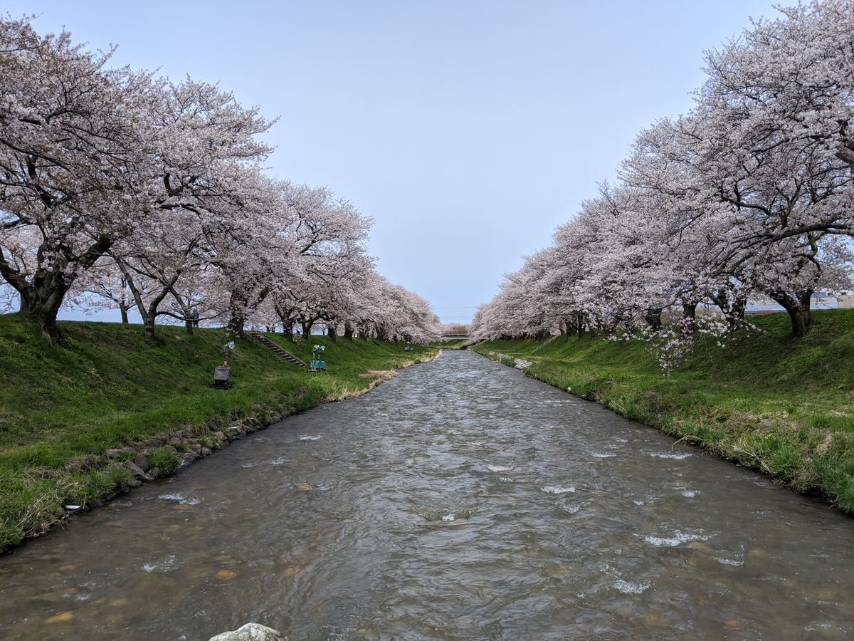 f:id:Kuunyan_takashi:20200416160840j:plain