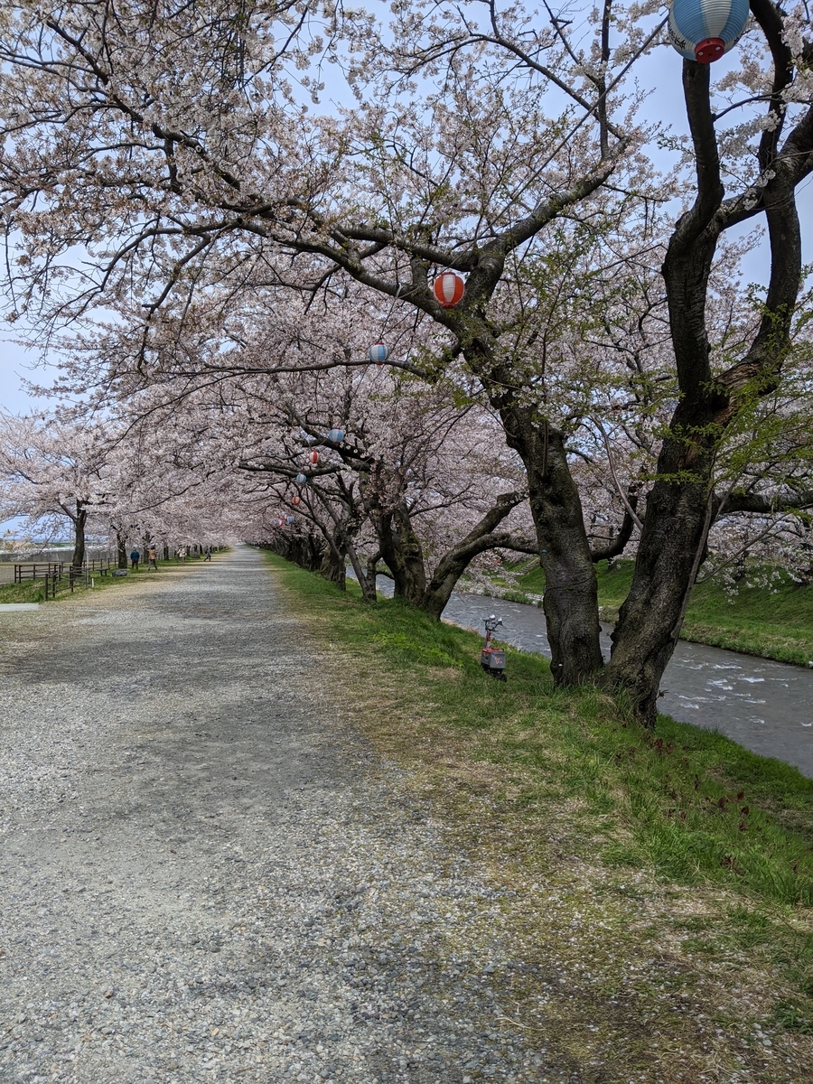 f:id:Kuunyan_takashi:20200416160853j:plain