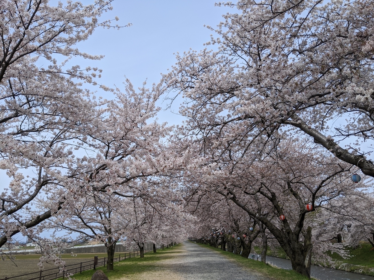 f:id:Kuunyan_takashi:20200416160907j:plain