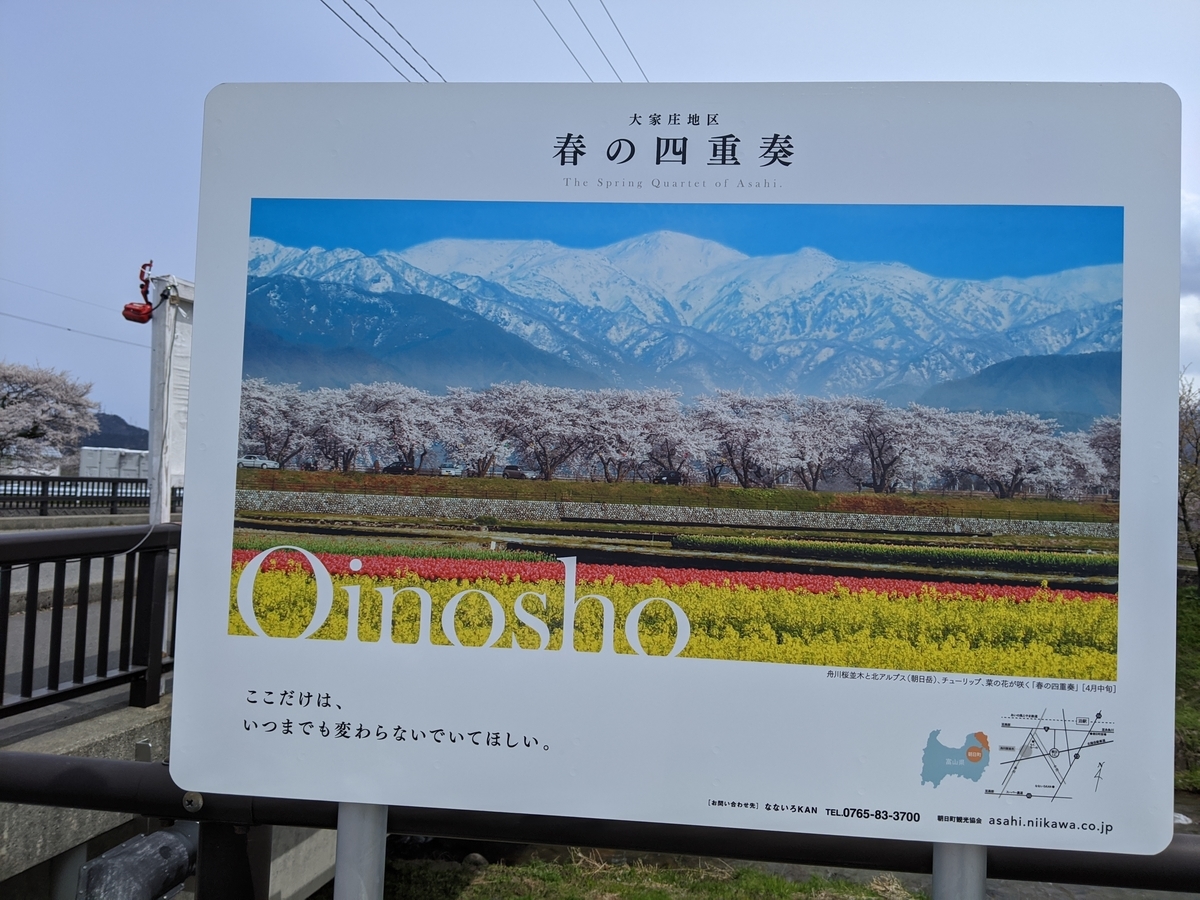 f:id:Kuunyan_takashi:20200416160917j:plain