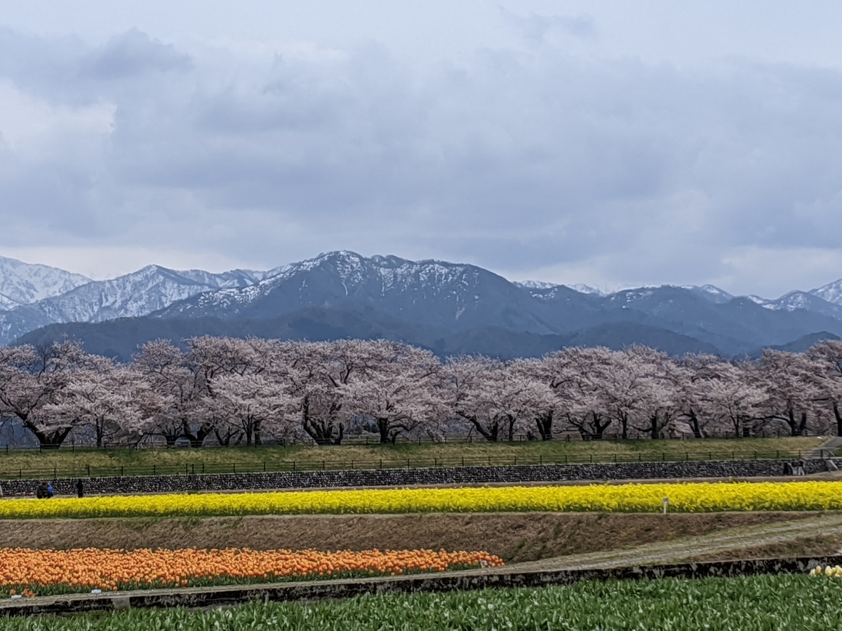 f:id:Kuunyan_takashi:20200416160945j:plain